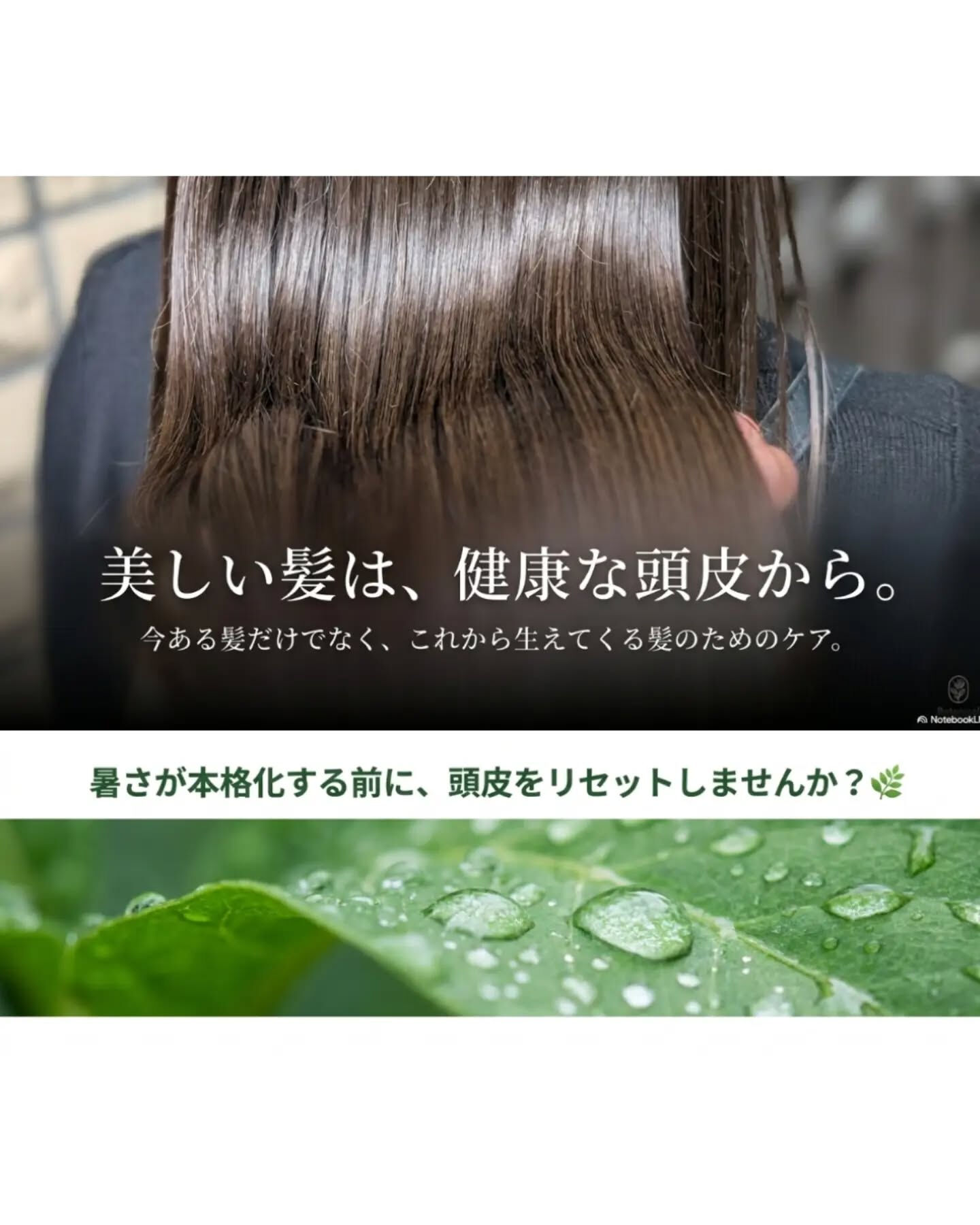 頭皮ケアするならANNEAU 前橋市美容室 前橋市理容室