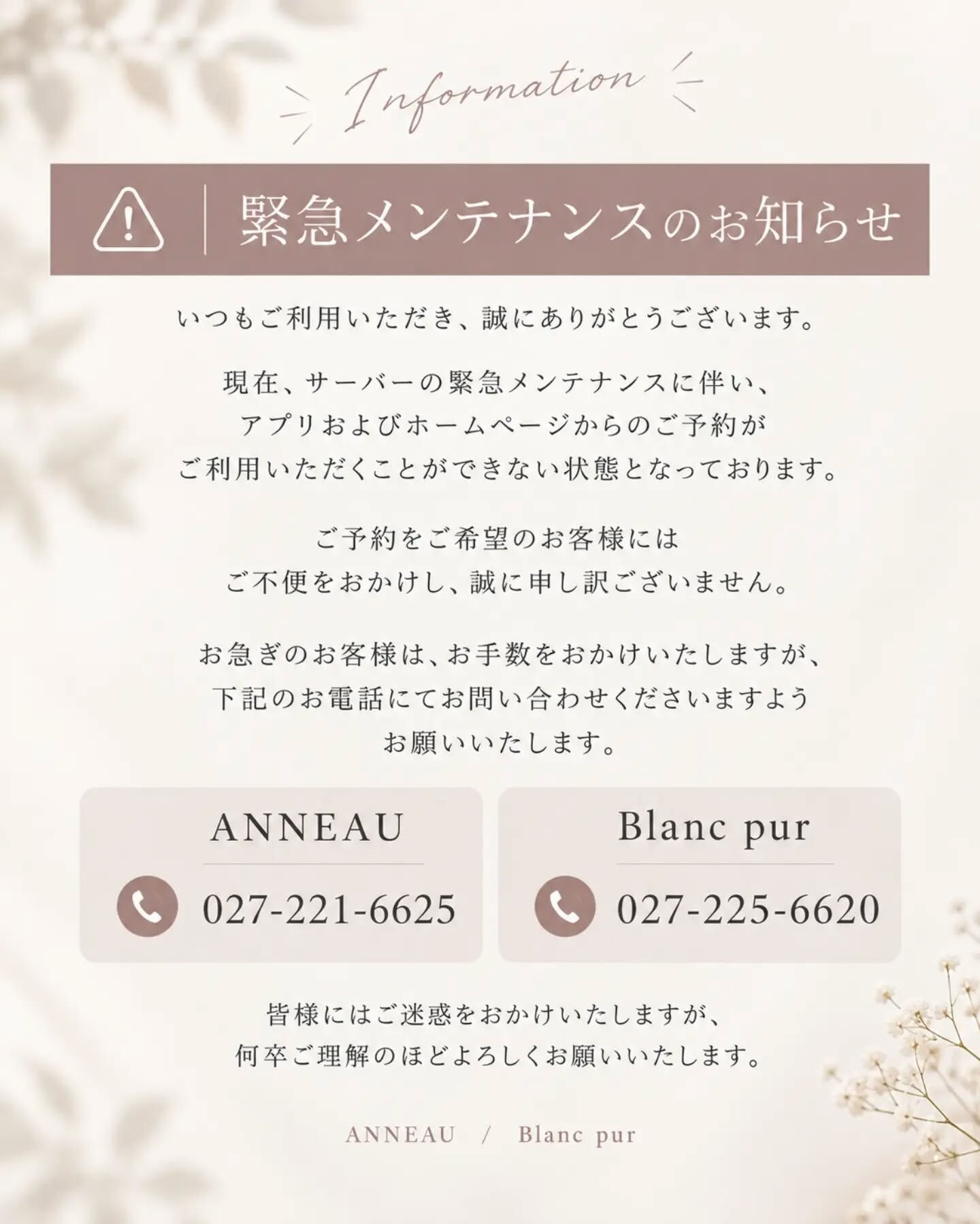頭皮ケアするならANNEAU 前橋市美容室 前橋市理容室